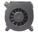 ���� 12 ���� ��� ���� FBD5712B12W9-81-2N